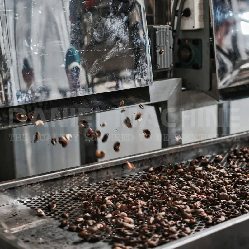 machine for cashew nut processing