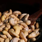 Cashew Nut W240 1 cashew nut w240