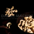 Cashew Nut W240 3 buy cashew nut w240
