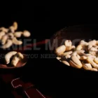 Cashew Nut W240 4 cashew nut w240 price