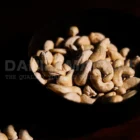 Cashew Nut W240 6 Cashew W240 wholesale suppliers
