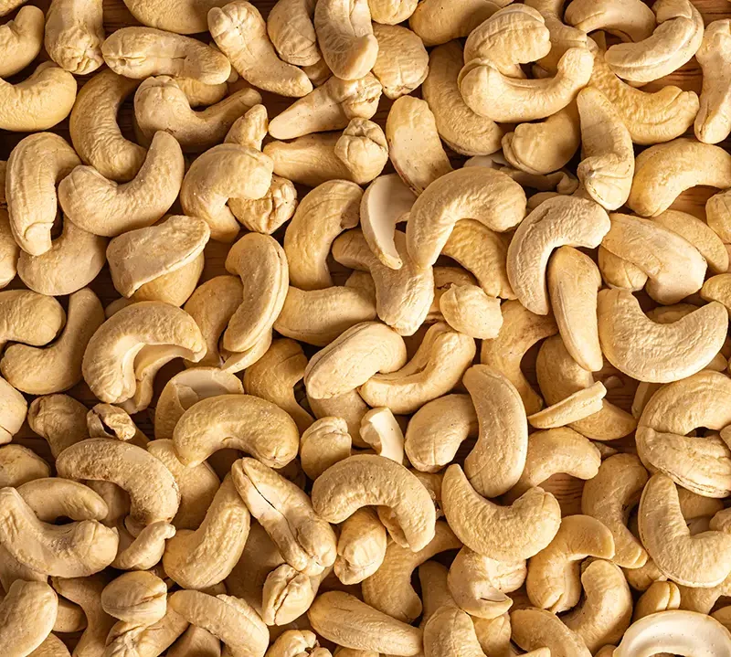 Drying Cashew Kernels