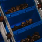Medium Cashew Processing Machine Line 2 C1194.00 00 11 19.Still001