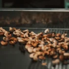 Medium Cashew Processing Machine Line 4 Setting up a Cashew Nut Processing Plant