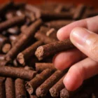 Cashew Husk Pellet 2 cashew husk pellets daniel machine