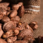 Sea Salt Cashews Nut with Skin 6 Sea Salt Cashews Nut with Skin price