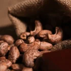 Sea Salt Cashews Nut with Skin 4 bulk Sea Salt Cashews Nut with Skin