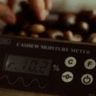 Moisture Meter for Cashew Processing 4 Moisture Meter for Cashew Processing daniel machine